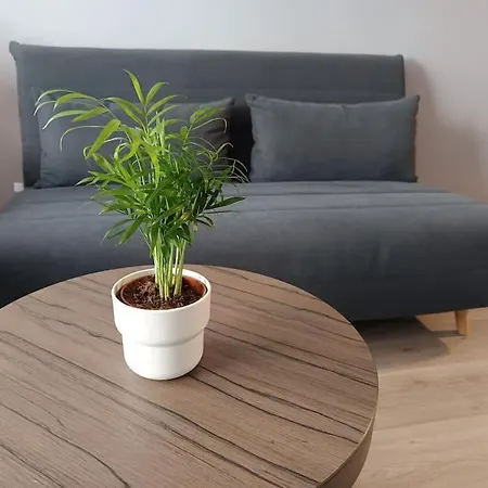 Entourage Christinastraat Apartment Ostend