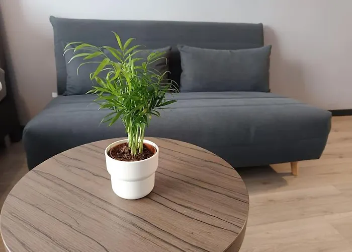 Entourage Christinastraat Apartman Ostende